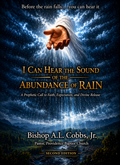 I Can Hear The Sound Of The Abundance Of Rain: Before The Rain Falls.....You Can Hear It (Hard Cover)