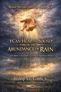 I Can Hear The Sound Of The Abundance Of Rain: Before The Rain Falls.....You Can Hear It (Author's Paperback Copy)